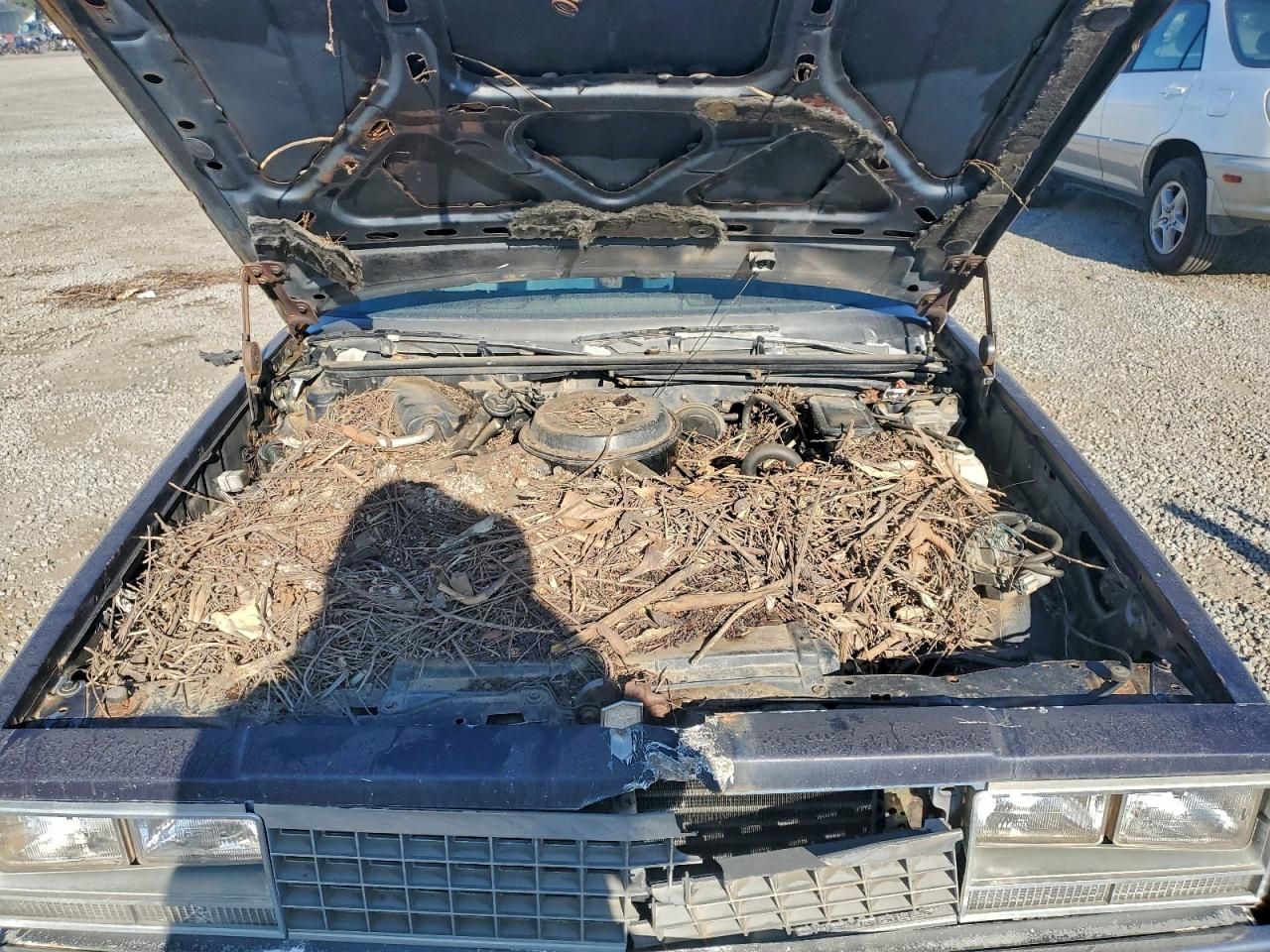 1982 Chevrolet EL Camino