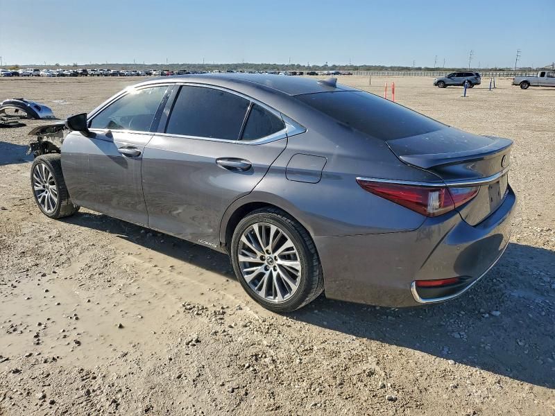 2020 Lexus Es 300h