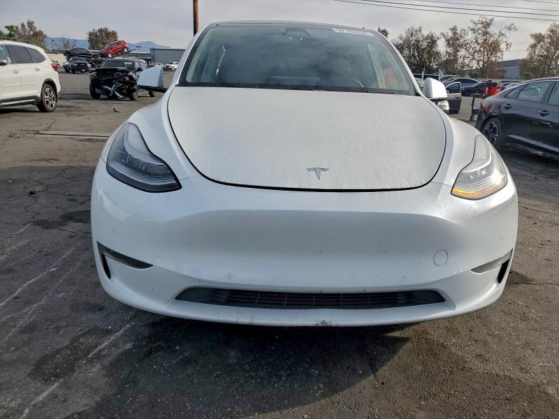 2020 Tesla Model y