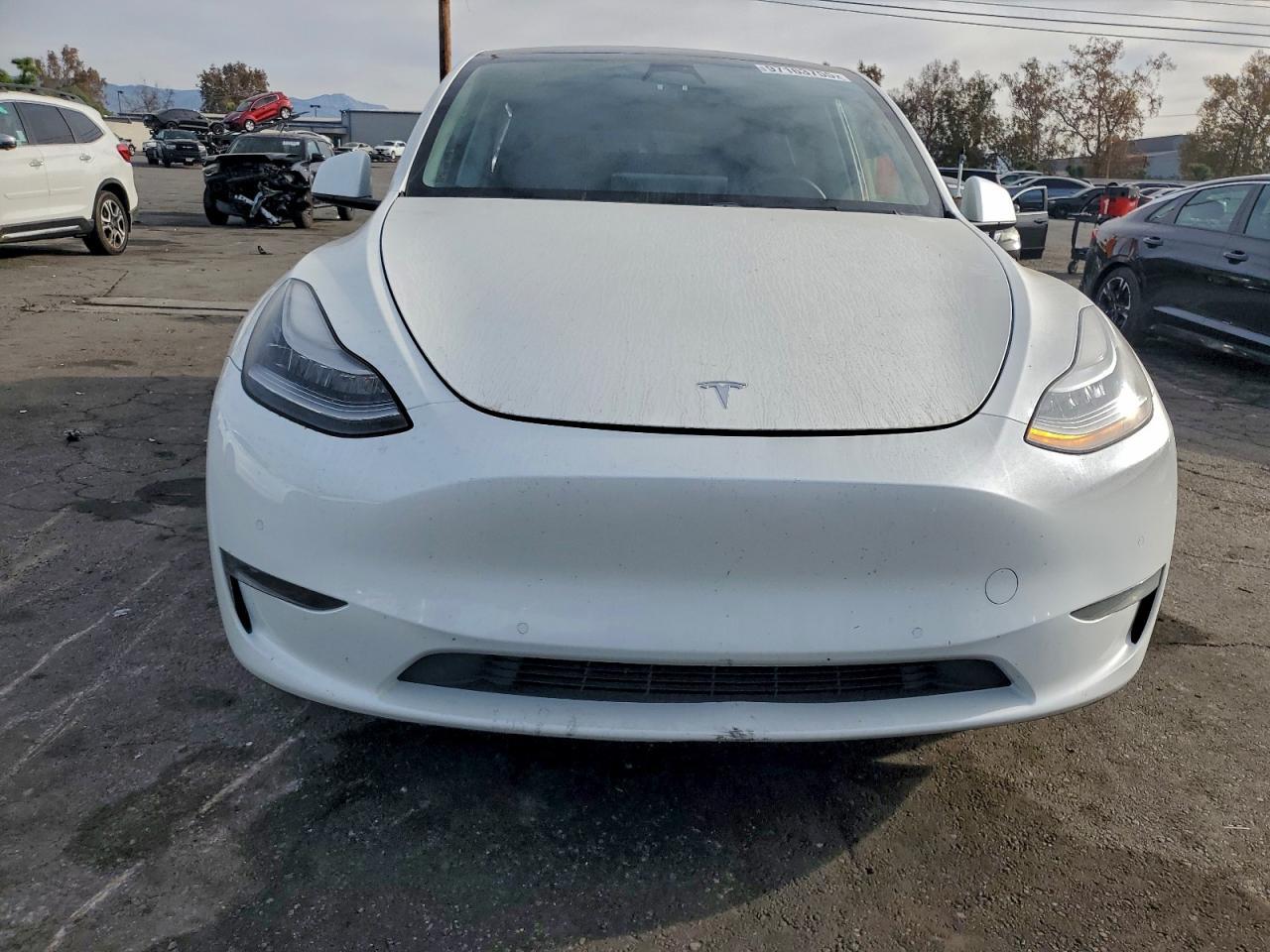 2020 Tesla Model y