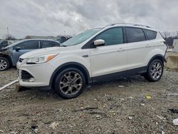 Ford Vehiculos salvage en venta: 2014 Ford Escape Titanium