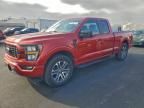2023 Ford F150 Super cab