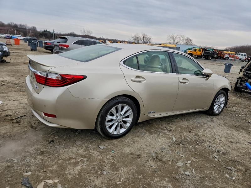 2014 Lexus Es 300h