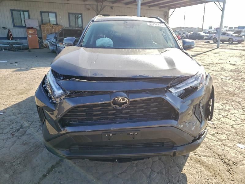 2025 Toyota Rav4 xle