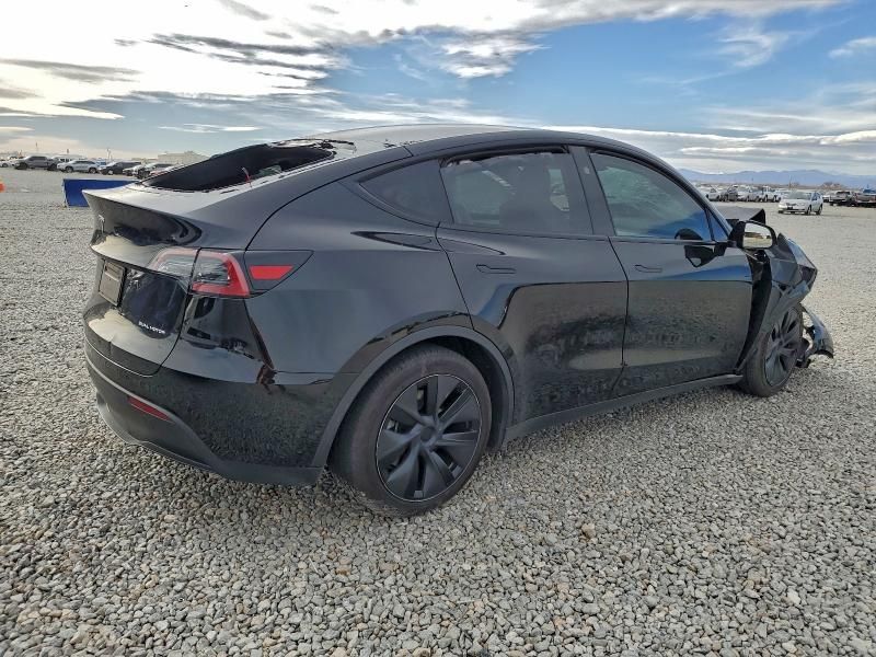 2025 Tesla Model y