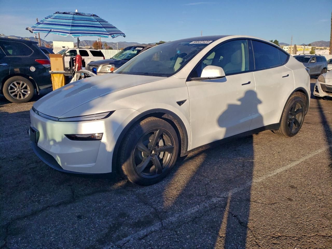 2026 Tesla Model y