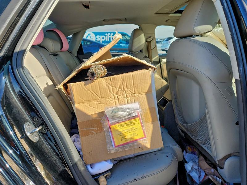 2011 Audi A4 Premium