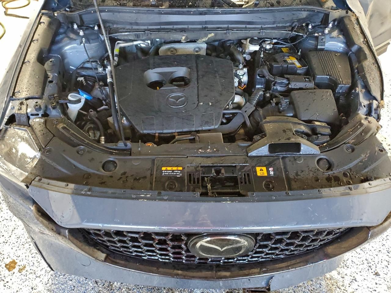 2025 Mazda Cx-5 Preferred