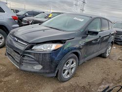 Ford salvage cars for sale: 2014 Ford Escape se