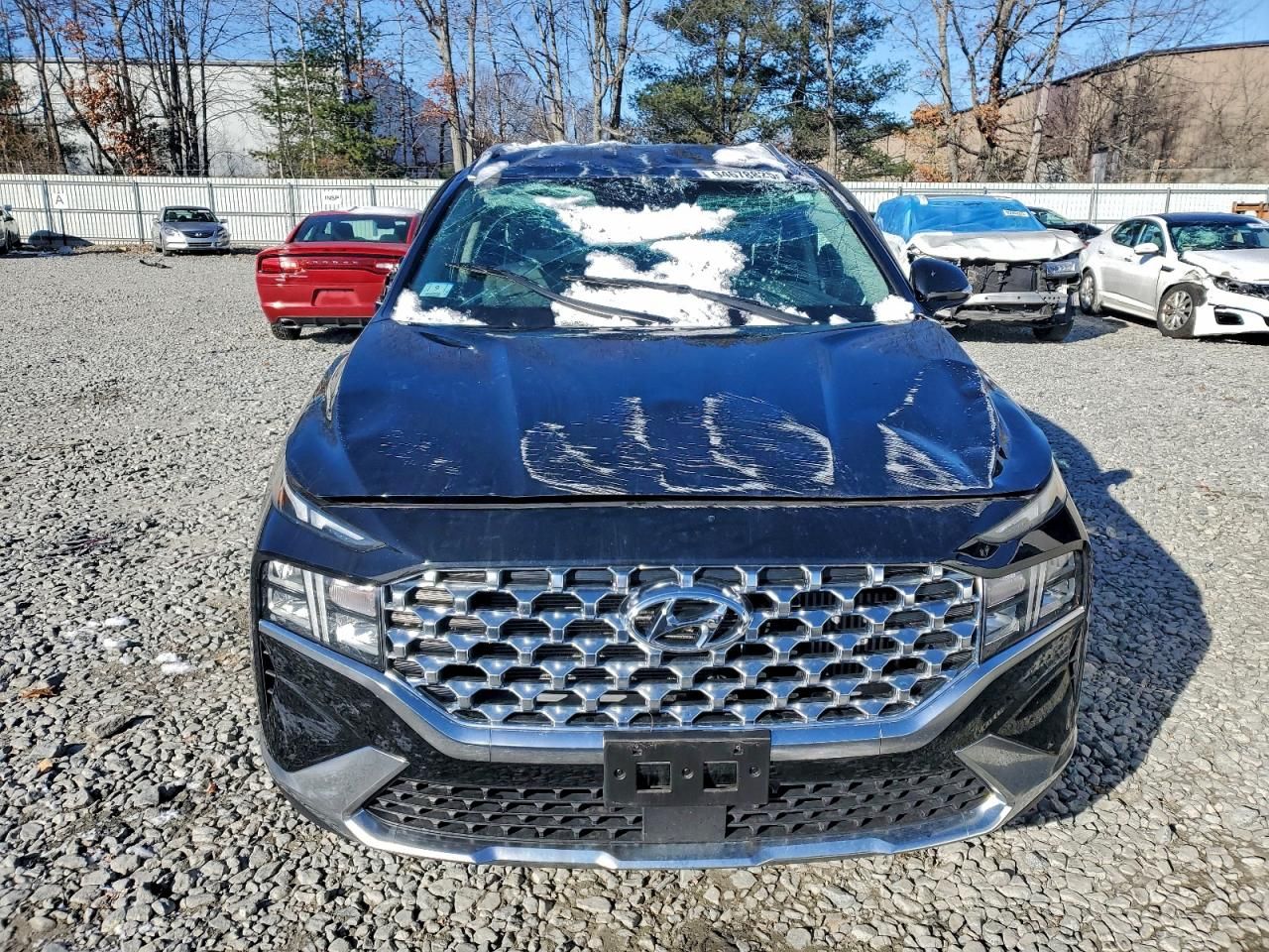 2023 Hyundai Santa fe Blue