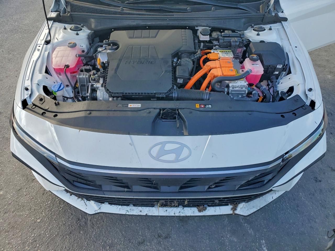 2025 Hyundai Elantra Blue