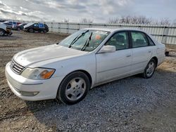 Toyota Avalon salvage cars for sale: 2004 Toyota Avalon xl