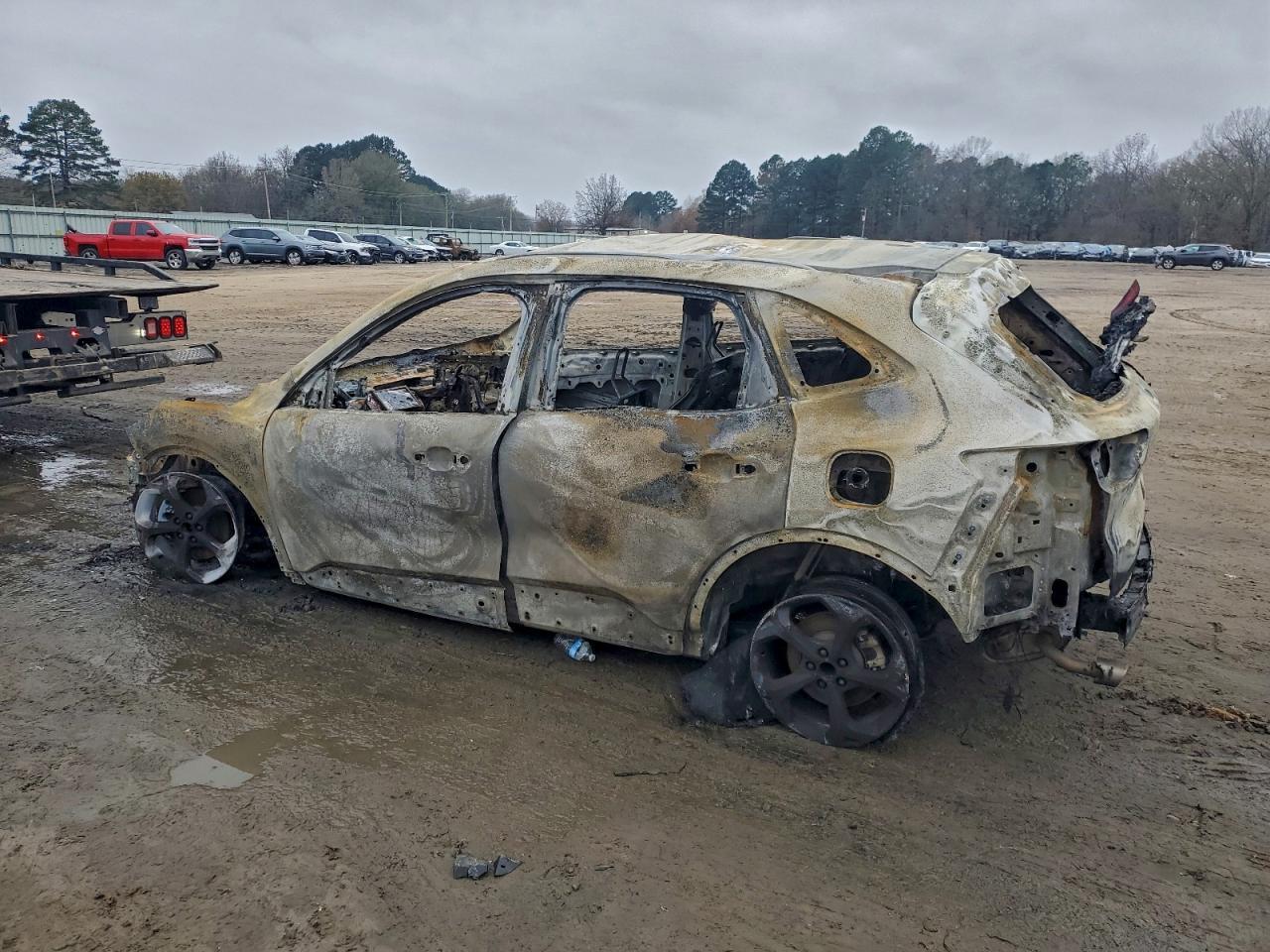 2024 Ford Escape st Line