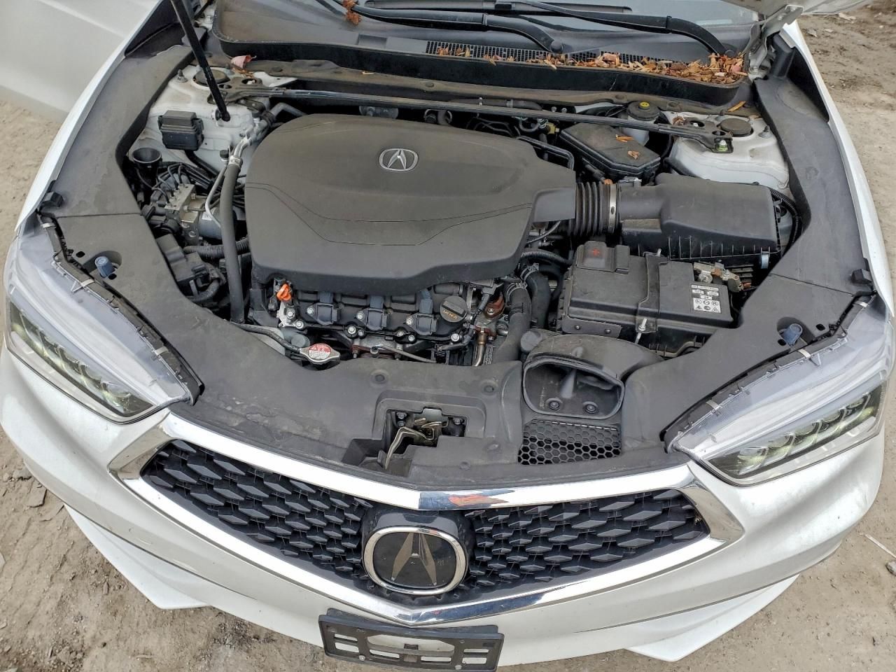 2019 Acura Tlx Technology