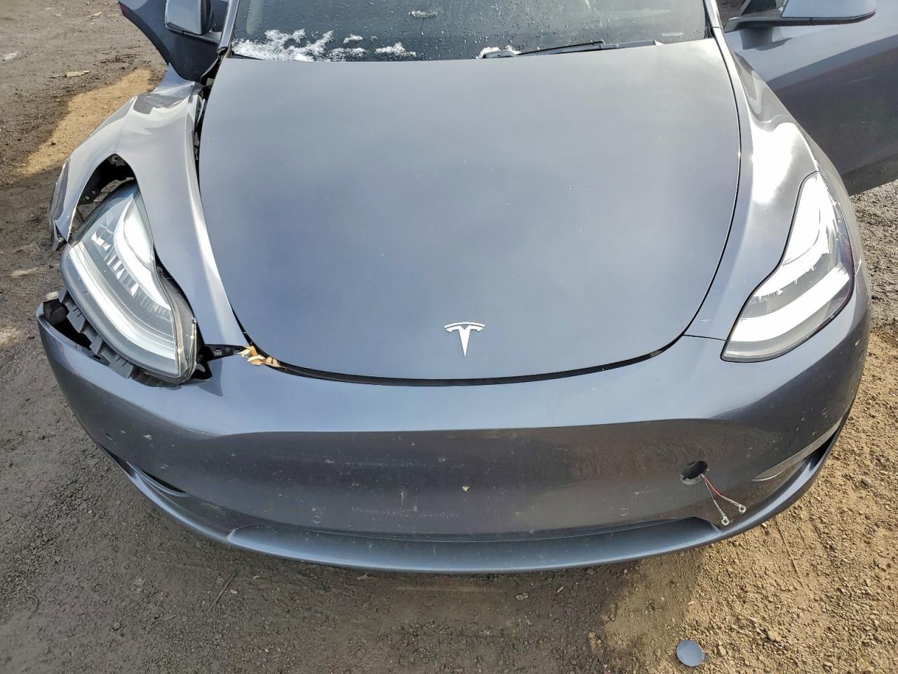 2020 Tesla Model y