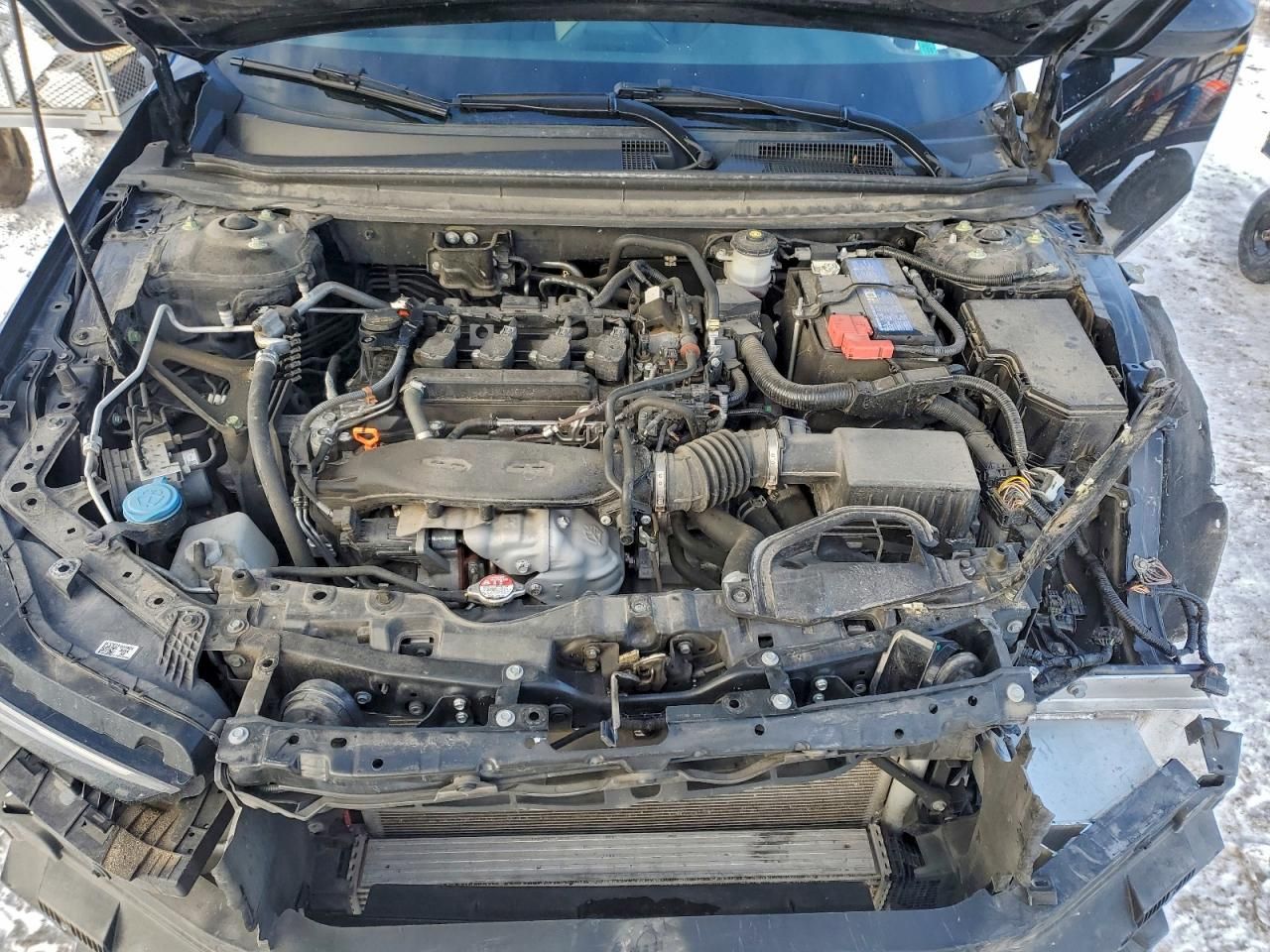 2023 Honda Accord ex