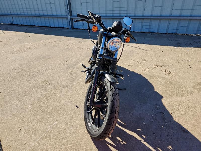 2021 Harley-Davidson XL883 N