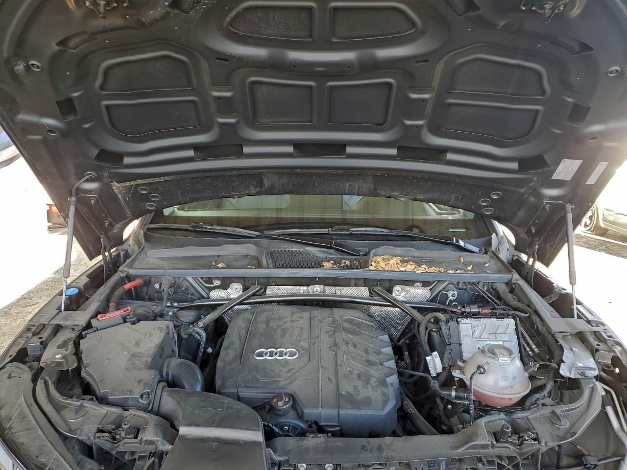 2021 Audi Q5 Premium Plus