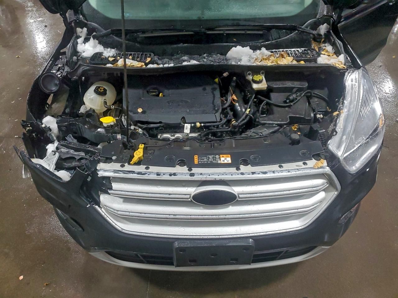 2019 Ford Escape se
