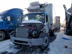 2025 Freightliner Business Class M2 Refrigerated BOX Truck