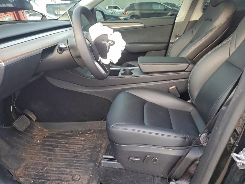 2025 Tesla Model y