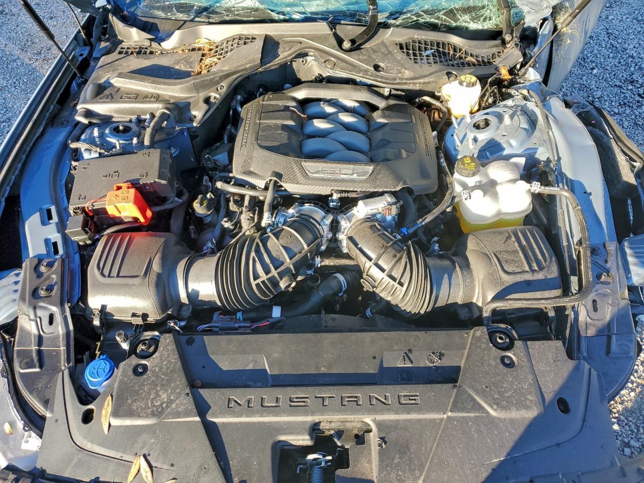 2025 Ford Mustang gt