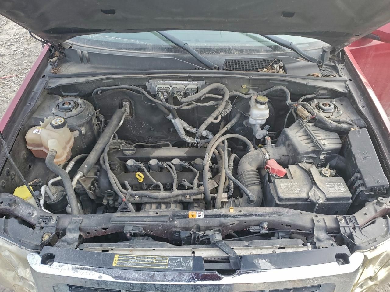 2010 Ford Escape Limited