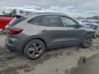 2025 Ford Escape st Line