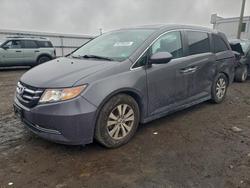 Honda salvage cars for sale: 2015 Honda Odyssey exl