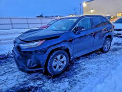 Toyota salvage cars for sale: 2025 Toyota Rav4 xle