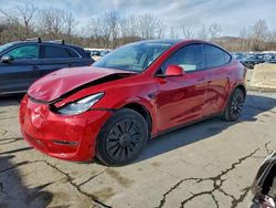 2021 Tesla Model y en venta en Marlboro, NY