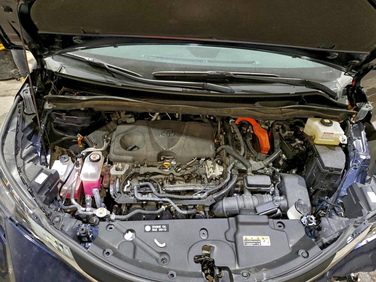 2025 Toyota Sienna le