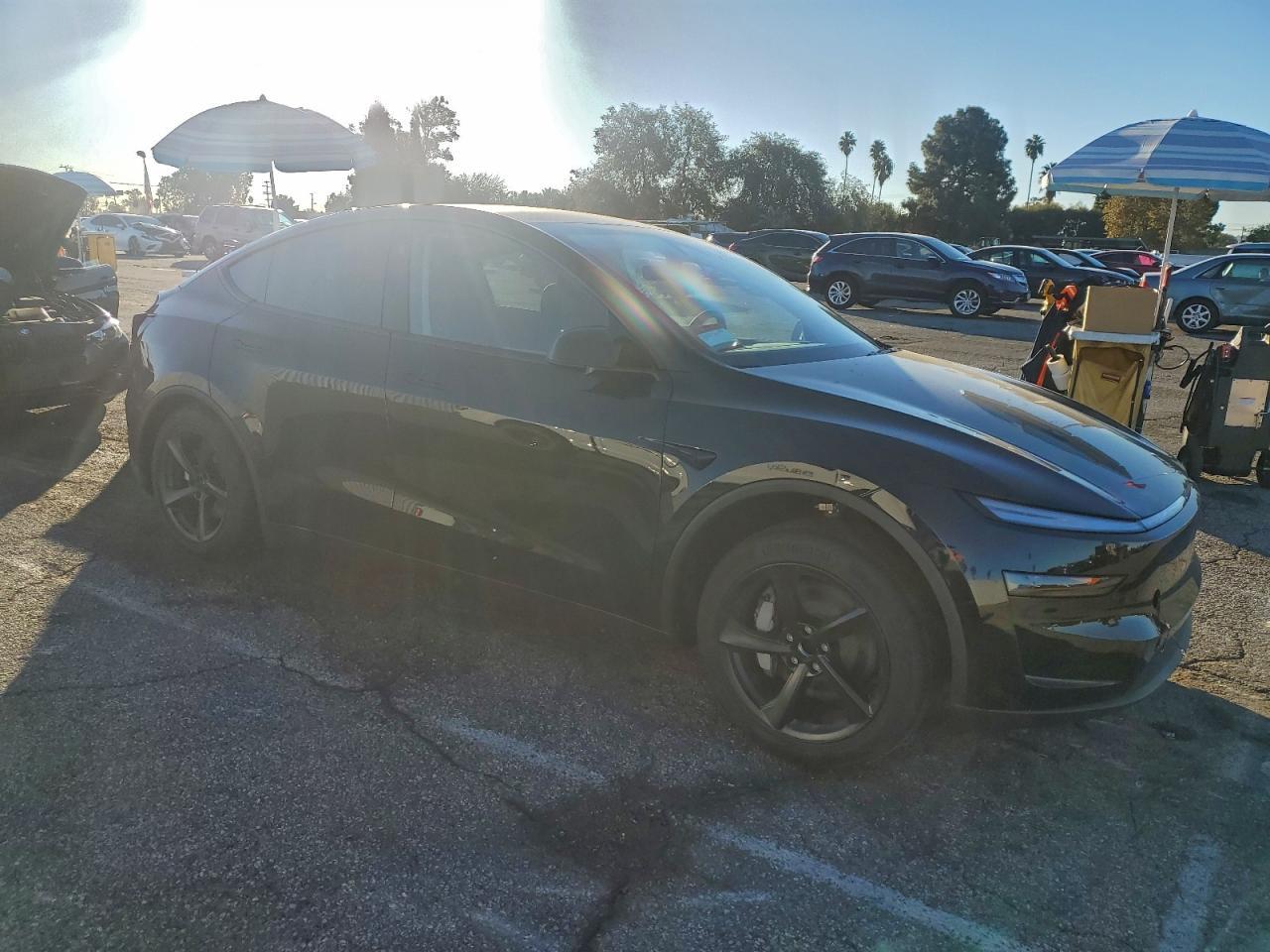 2026 Tesla Model y