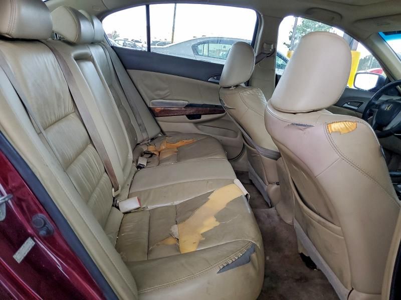 2009 Honda Accord exl