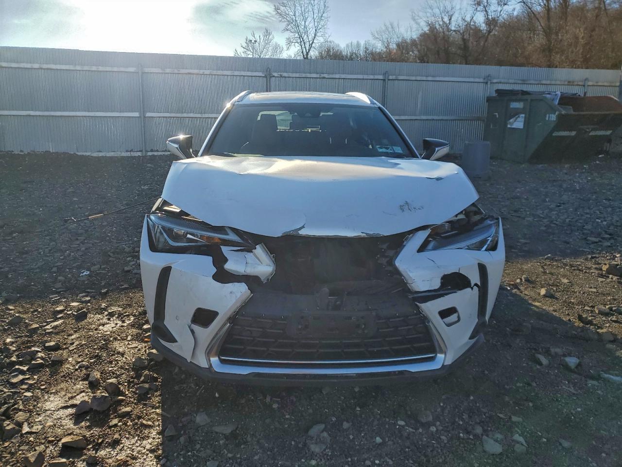 2020 Lexus Ux 250h