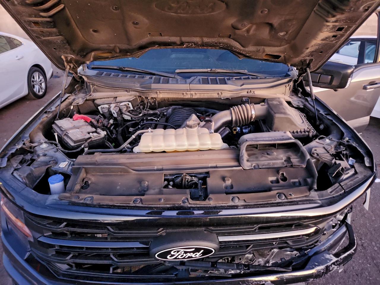 2024 Ford F150 xlt