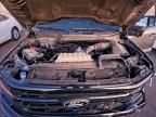 2024 Ford F150 xlt