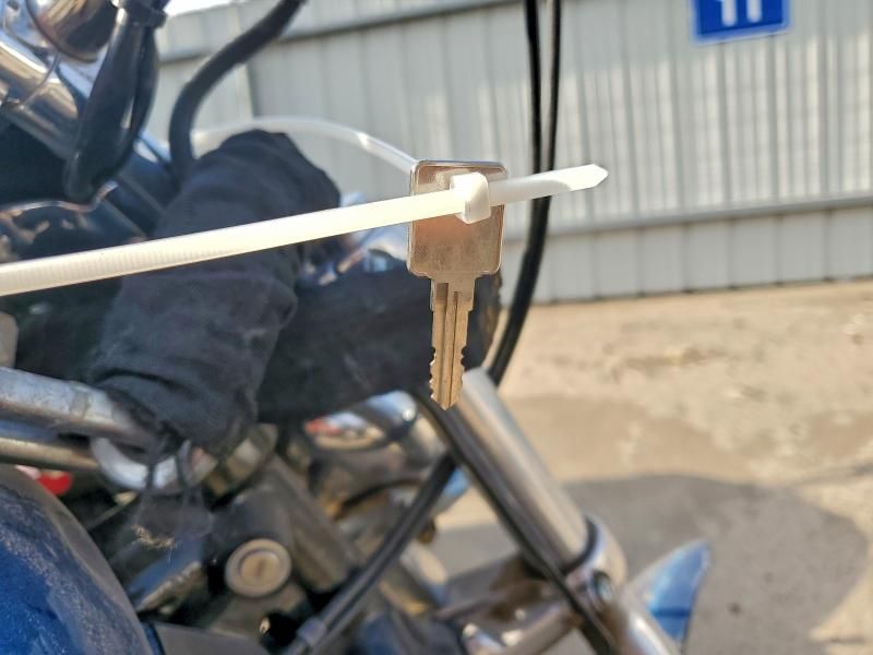 2006 Harley-Davidson XL1200 C