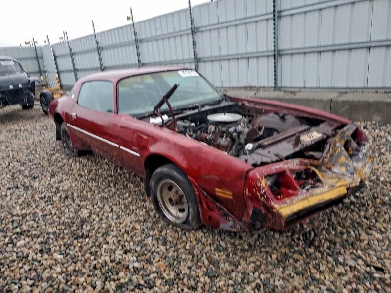 1981 Pontiac Firebird Trans am