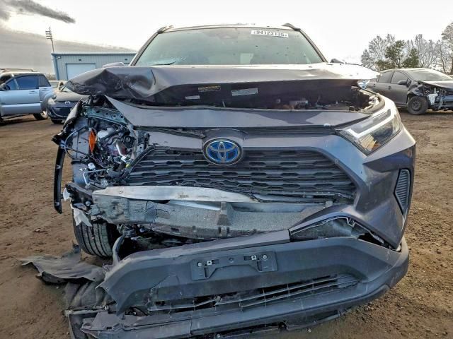 2024 Toyota Rav4 xle
