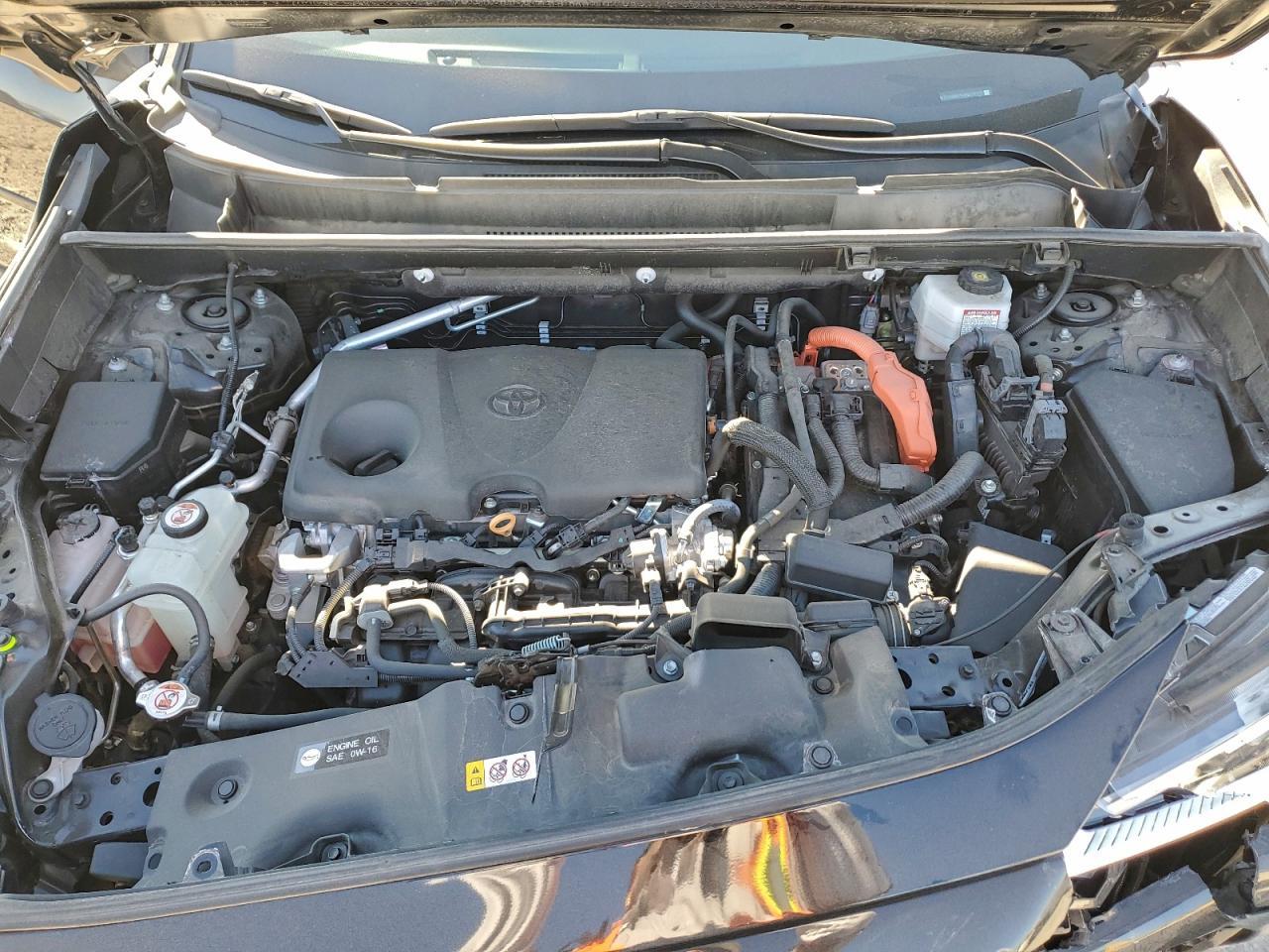 2024 Toyota Rav4 Woodland Edition