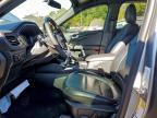 2023 Ford Escape st Line