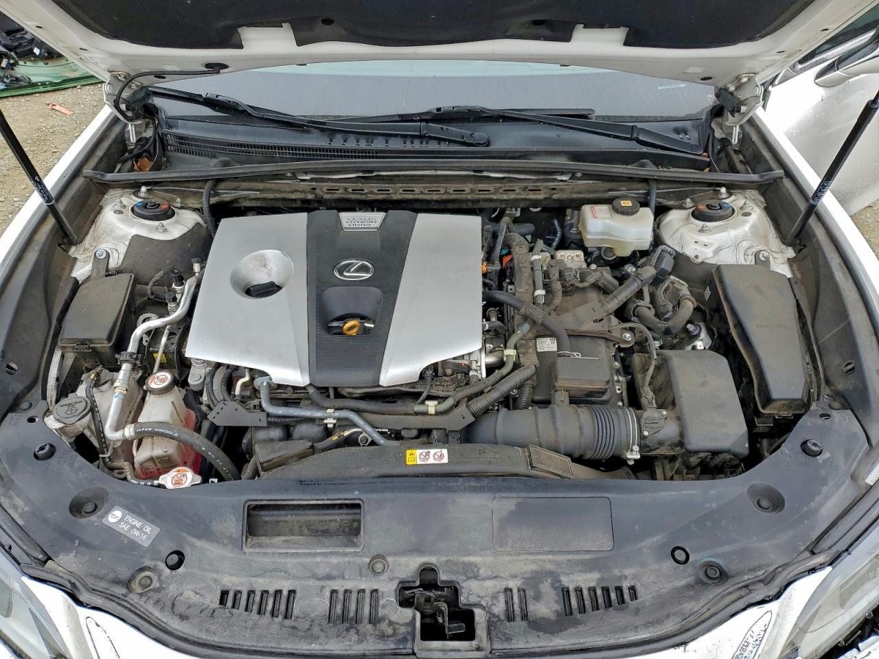 2021 Lexus Es 300h