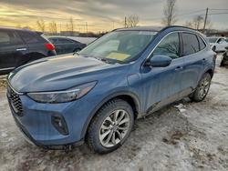 2025 Ford Escape en venta en Montreal Est, QC