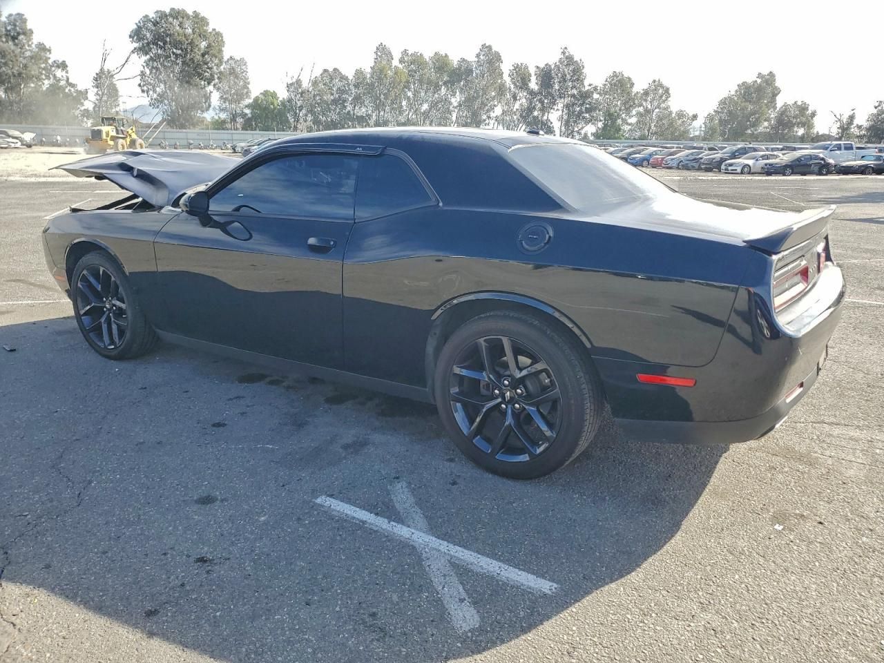 2019 Dodge Challenger sxt