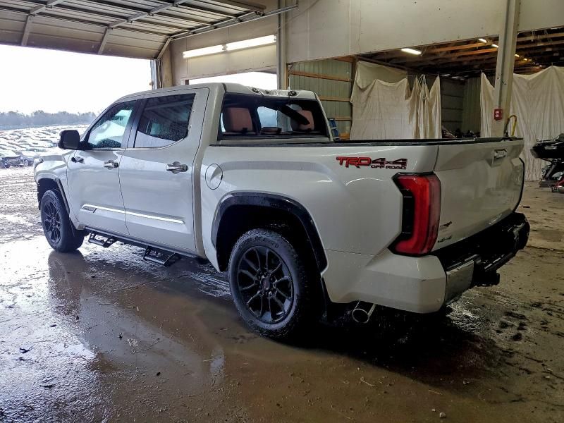 2025 Toyota Tundra Crewmax Platinum