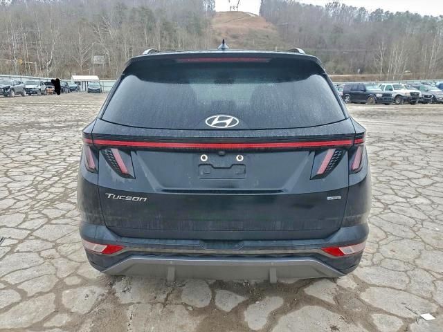 2024 Hyundai Tucson Limited