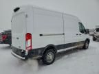 2023 Ford Transit T-250 Delivery Van