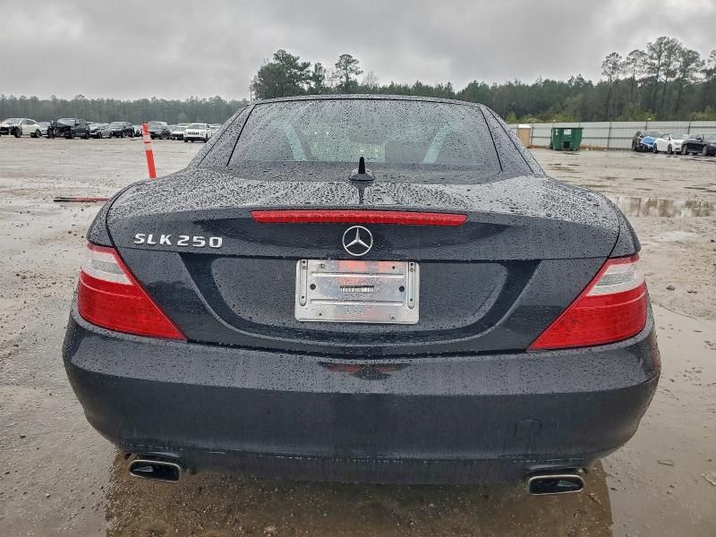 2013 Mercedes-Benz Slk 250