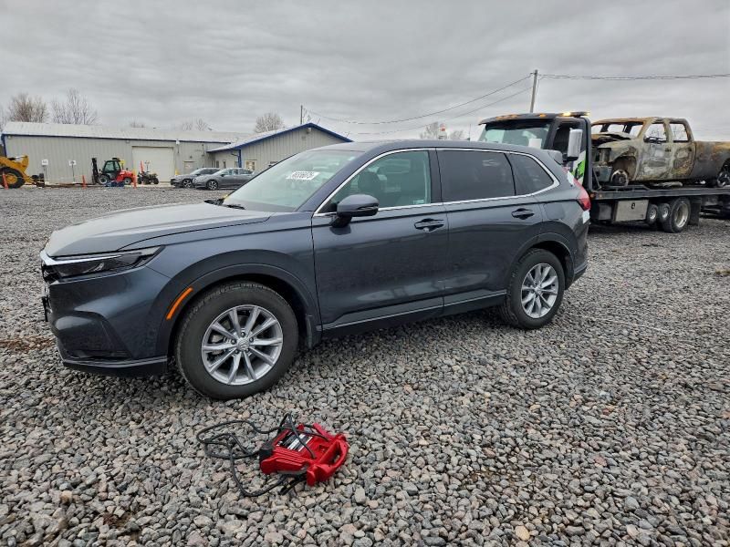 2025 Honda Cr-v exl